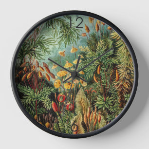 Moss Plants Muscinae by Ernst Haeckel   Clock