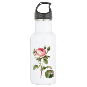 moss rose (Rosa muscosa) by Redouté 532 Ml Water Bottle