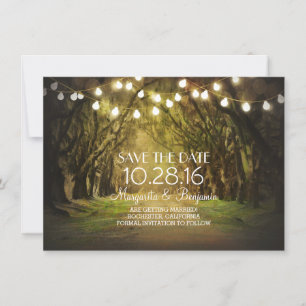 Moss Tree Path Rustic String Lights Save the Date