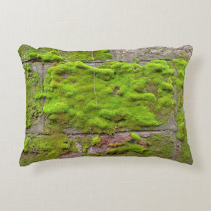 Moss wall green rock texture accent pillow