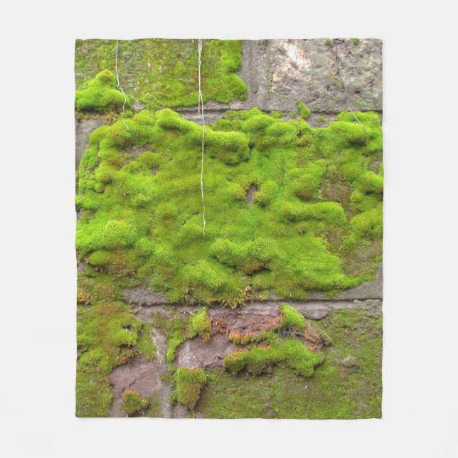 Moss wall green rock texture fleece blanket (Front)