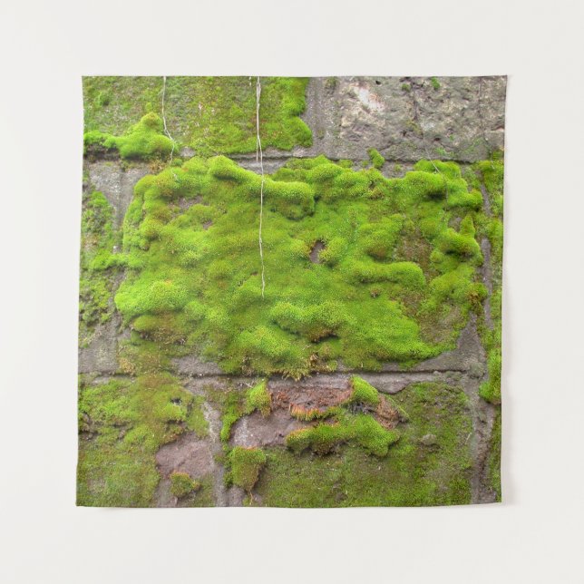 Moss wall green rock texture tapestry (Front)