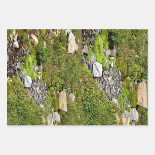 Moss wrapping paper sheets
