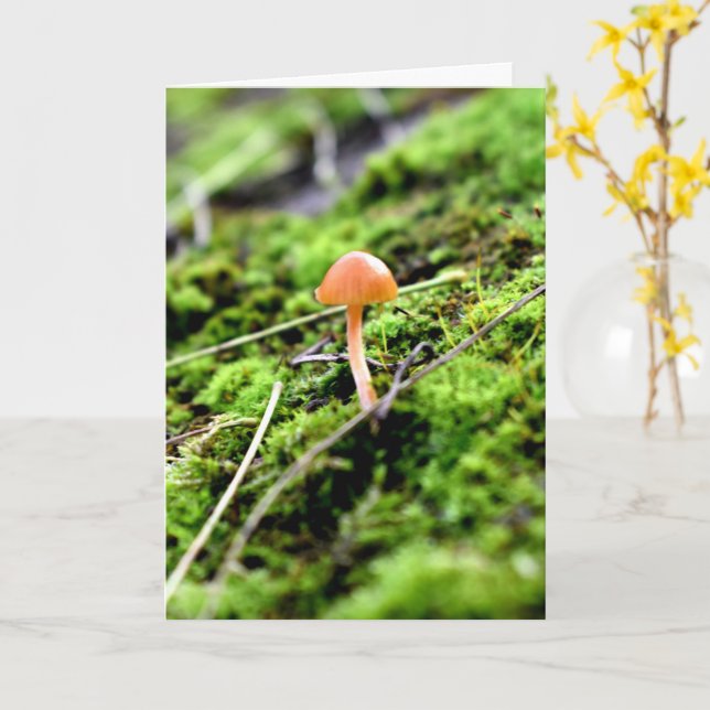 Mosses and Lichens with tiny Mushroom Card (Yellow Flower)