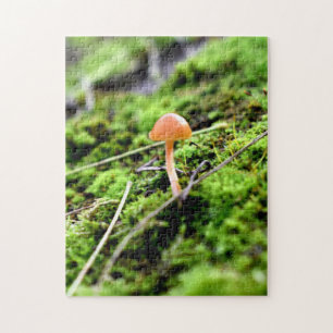 Mosses and Lichens with tiny Mushroom Jigsaw Puzzle