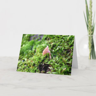 Mosses and Lichens with tiny Mushrooms Card