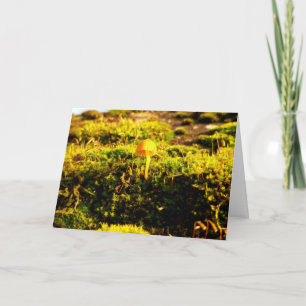 Mosses and Lichens with tiny Mushrooms Card