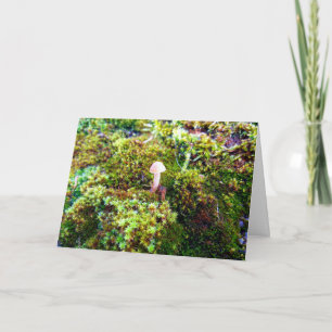 Mosses and Lichens with tiny Mushrooms Card