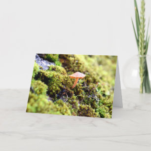 Mosses and Lichens with tiny Mushrooms Card