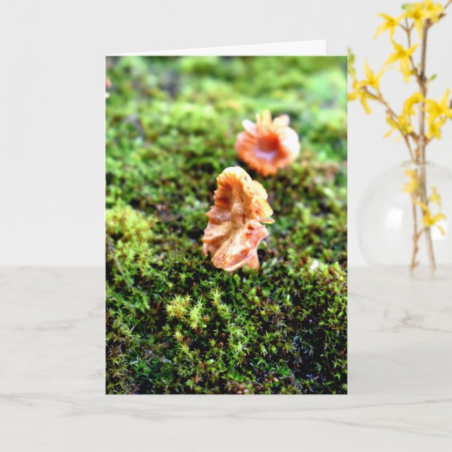 Mosses and Lichens with tiny Mushrooms Card (Yellow Flower)