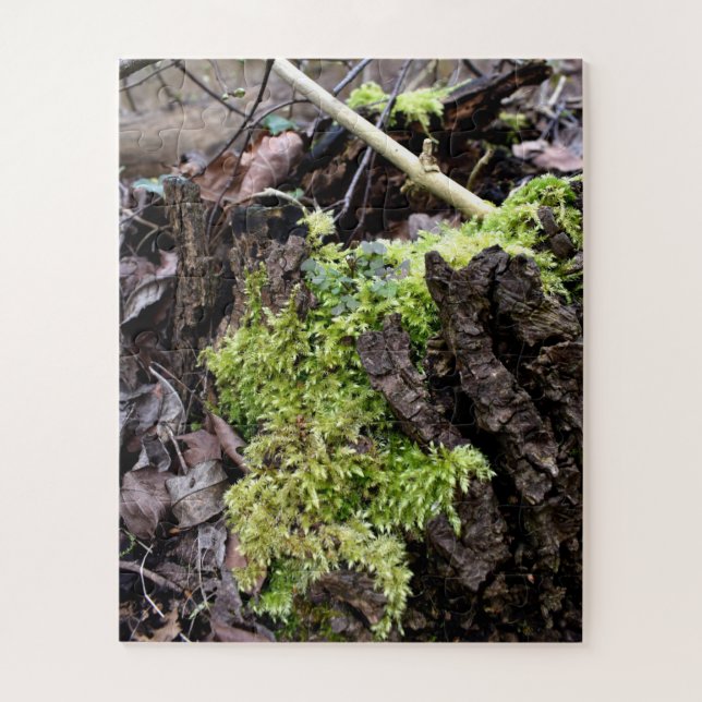 Mosses Jigsaw Puzzle (Vertical)