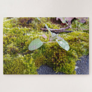 Mosses Jigsaw Puzzle