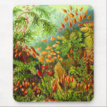 Mosses Mouse Pad<br><div class="desc">Muscinae (now Bryophyta) Mosses</div>
