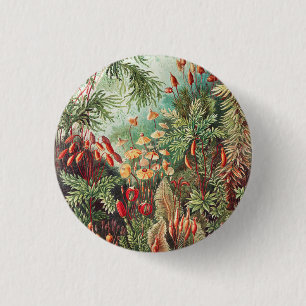 Mosses, Muscinae Laubmoose by Ernst Haeckel 1 Inch Round Button