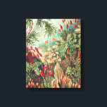 Mosses, Muscinae Laubmoose by Ernst Haeckel Canvas Print<br><div class="desc">Mosses,  Muscinae Laubmoose by Ernst Haeckel Canvas Print</div>