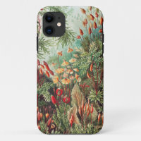 Mosses, Muscinae Laubmoose by Ernst Haeckel