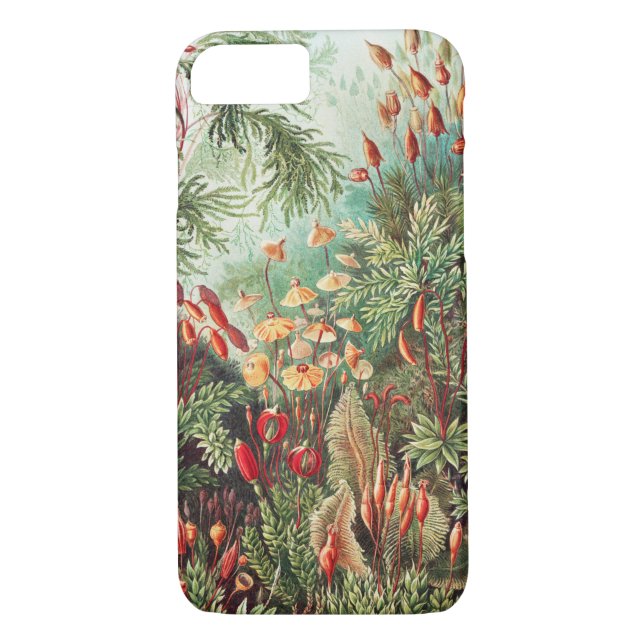 Mosses, Muscinae Laubmoose by Ernst Haeckel Case-Mate iPhone Case (Back)