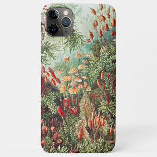 Mosses, Muscinae Laubmoose by Ernst Haeckel iPhone 11 Pro Max Case