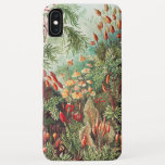 Mosses, Muscinae Laubmoose by Ernst Haeckel iPhone XS Max Case<br><div class="desc">Muscinae Laubmoose by Ernst Haeckel Vintage Plants Phone Case</div>