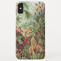 Mosses, Muscinae Laubmoose by Ernst Haeckel