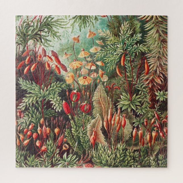 Mosses, Muscinae Laubmoose by Ernst Haeckel Jigsaw Puzzle (Vertical)