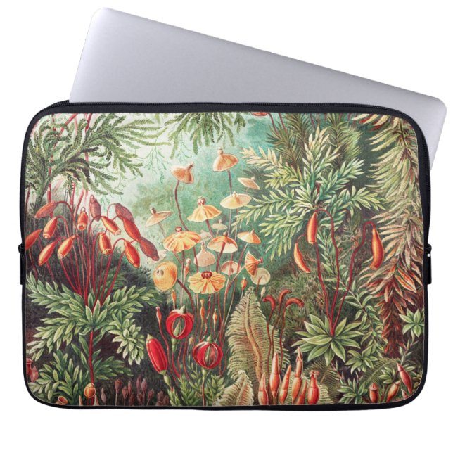 Mosses, Muscinae Laubmoose by Ernst Haeckel Laptop Sleeve (Front)