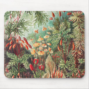 Mosses, Muscinae Laubmoose by Ernst Haeckel Mouse Pad