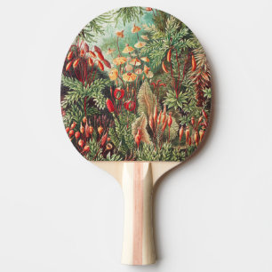 Mosses, Muscinae Laubmoose by Ernst Haeckel Ping Pong Paddle