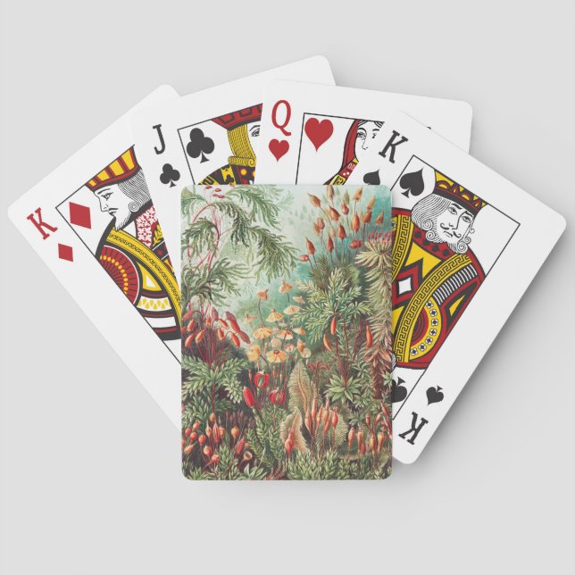 Mosses, Muscinae Laubmoose by Ernst Haeckel Playing Cards (Back)
