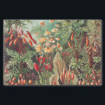 Mosses, Muscinae Laubmoose by Ernst Haeckel Tissue Paper<br><div class="desc">Muscinae Laubmoose by Ernst Haeckel Vintage Plants Tissue Paper</div>