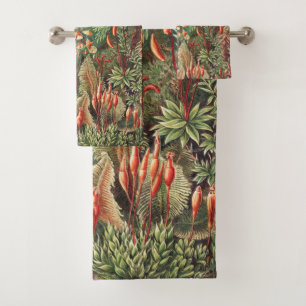 Mosses, Muscinae Laubmoose par Ernst Haeckel