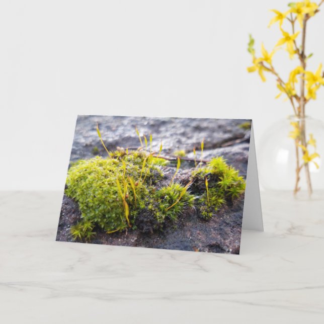 Mosses , Spring awakening Card (Yellow Flower)