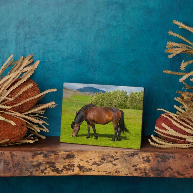 Mossfellsbaer Icelandic Horse Plaque (Side)