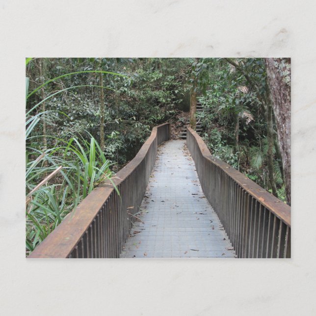 Mossman Gorge - Queensland Australia Postcard (Front)