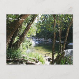 Mossman Gorge, Queensland - Carte postale