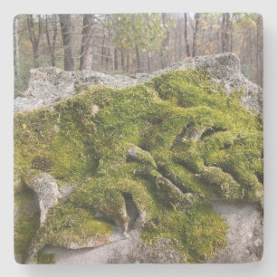 Mossy Broken Headstone Stone Coaster