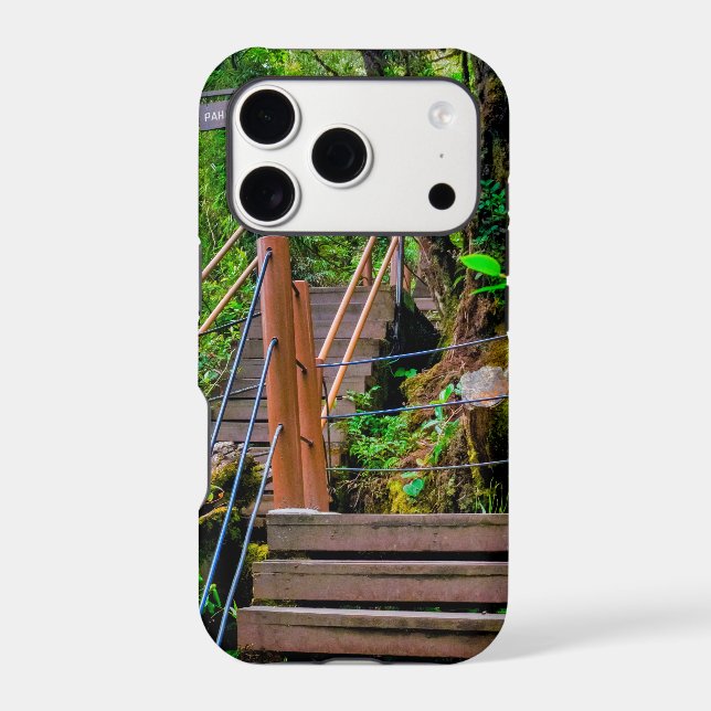 Mossy Forest (Back)