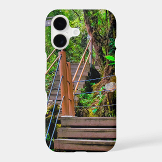 Mossy Forest