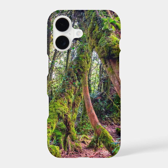 Mossy Forest (Back)