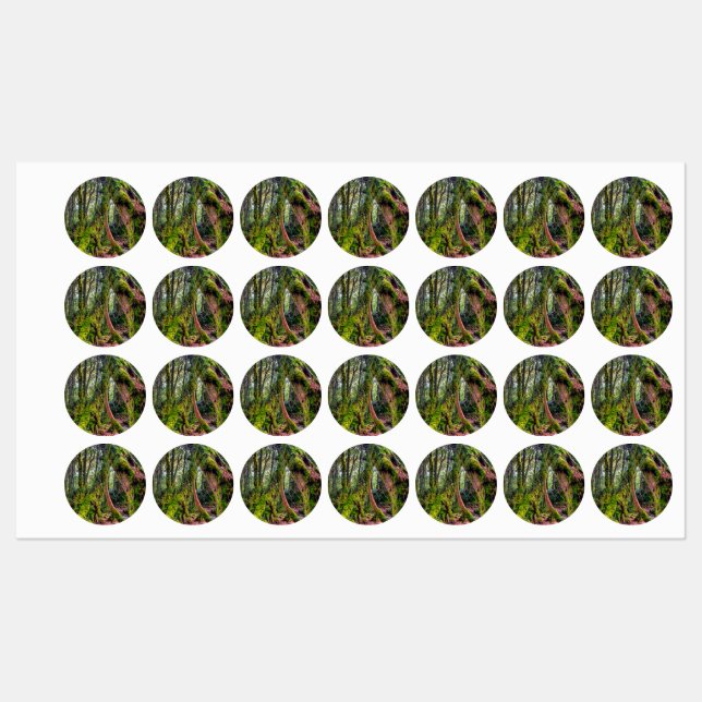 Mossy Forest (Sheet)