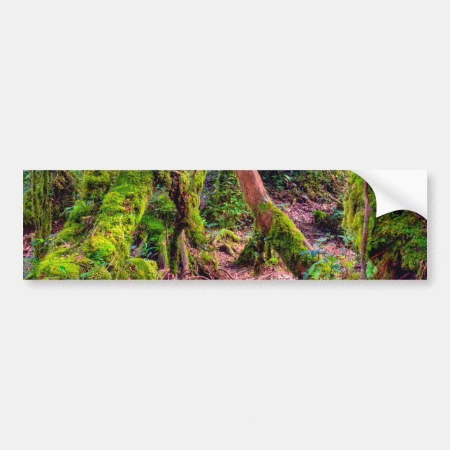 Mossy Forest Bumper Sticker (Front)