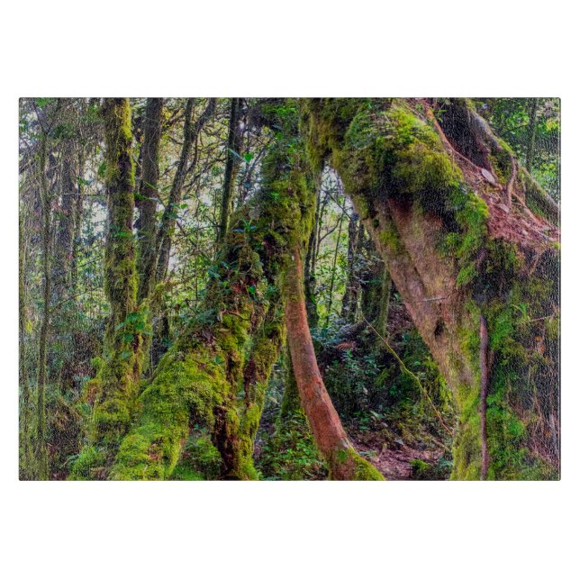 Mossy Forest Cutting Board (Front)