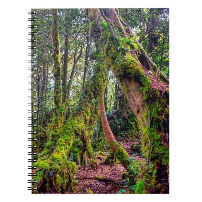Mossy Forest Notebook (Front)