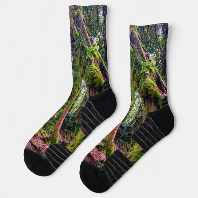 Mossy Forest Socks (Left)