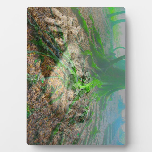 Mossy Frog Plaque (Front)