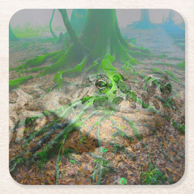 Mossy Frog Square Paper Coaster (Front)