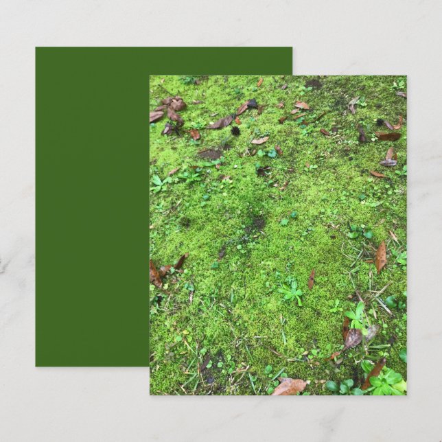 Mossy Green Woodlands Scrapbook Paper (Front/Back)