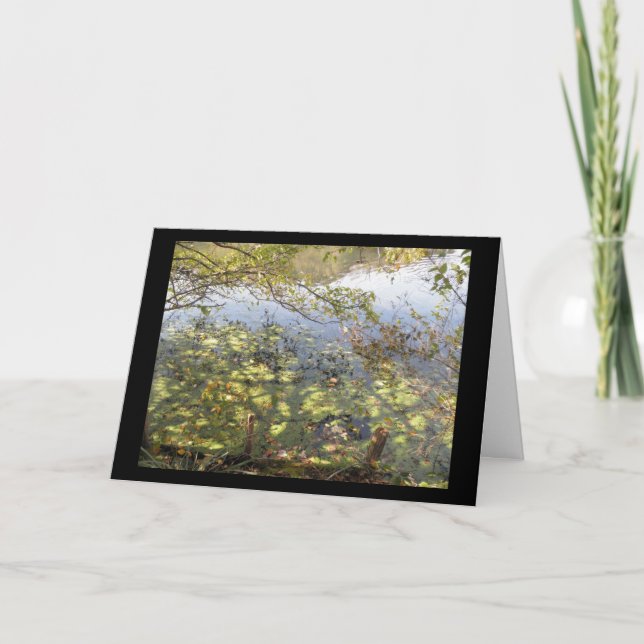 Mossy Pond Greeting Card (Front)