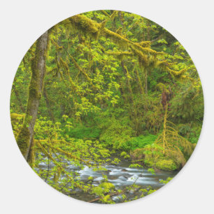 Mossy Rocks And Trees Line Eagle Creek Classic Round Sticker