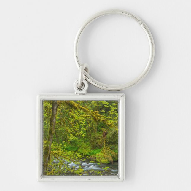 Mossy Rocks And Trees Line Eagle Creek Keychain (Front)